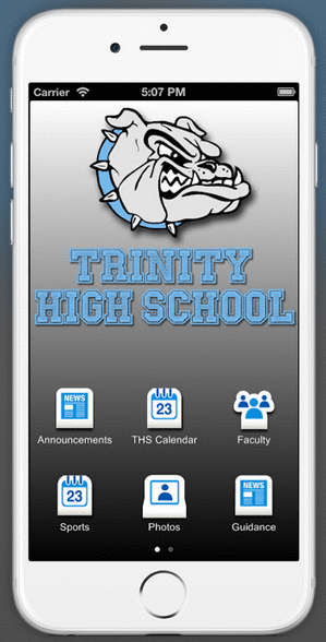 TRINITY APP DEADLINE visual data 4
